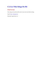 Cá lia thia khạp da bò   chu sa lan