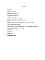 Skkn ứng dụng giải tích trong chứng minh bất đẳng thức