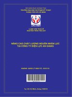 (Luận văn thạc sĩ hcmute) nâng cao chất lượng nguồn nhân lực tại công ty điện lực an giang