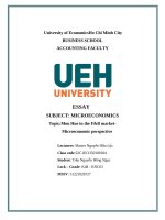 Essay subject microeconomics topicmon hue in the fb market  microeconomic perspective