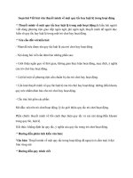 Soạn bài viết bài văn thuyết minh về một quy tắc hay luật lệ trong hoạt động trang 112 (chân trời sáng tạo)