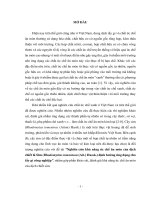 Đề tài nghiên cứu khả năng ức chế ăn mòn của dịch chiết lá sim (rhodomyrtus tomentosa (ait ) hassk ) định hướng ứng dụng cho tẩy gỉ công nghiệp