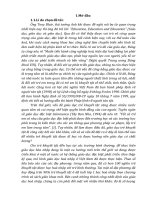 Skkn một số giải pháp nâng cao chất lượng cho trẻ khuyết tật chậm phát triển trí tuệ học hòa nhập tại lớp b2 (4 5 tuổi) khu trung tâm trường mn ái thượng, huyện bá thước