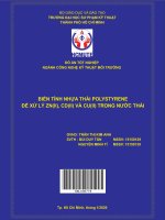 (Đồ án hcmute) biến tính nhựa thải polystyrene để xử lý zn(ii), cd(ii) và cu(ii) trong nước thải
