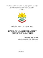 Các yếu tố ảnh hưởng đến sinh trưởng của vi sinh vật bài 30
