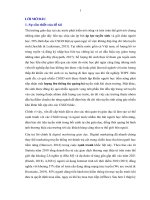 Luận án digital marketing ở một số quốc gia phát triển và việc áp dụng vào các cơ sở giáo dục của việt nam