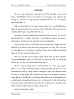 Công ty chứng khoán ở việt nam hiện nay thực trạng và giải pháp làm thế nào để hoàn thiện và phát triển