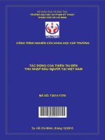 Hcmute tác động của thiên tai đến thu nhập đầu người tại việt nam