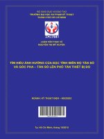 (Luận văn thạc sĩ hcmute) tìm hiểu ảnh hưởng của đặc tính biên độ tần số và góc pha tần số lên phổ tần của thiết bị đo