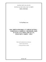 Khóa luận tốt nghiệp đại học hệ chính quy đặc điểm sinh học cá trích xƣơng – sardinella gibbosa (bleeker, 1849) ở vùng cửa sông thuận an, tỉnh thừa thiên  huế