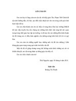 Nghiên cứu thành phần hóa học và hoạt chất sinh học của lá trầu miền bắ