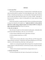 Luận án nghiên cứu thiết kế và chế tạo thiết bị ghi đo bức xạ hiện trường sử dụng kỹ thuật xử lý tín hiệu số (dsp) vào mảng các phần tử logic lập trình (fpga)