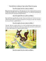 Top 10 mẫu tóm tắt chó sói và chiên con hay, ngắn gọn   chân trời sáng tạo