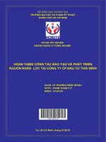 (Đồ án hcmute) hoàn thiện công tác đào tạo và phát triển nguồn nhân lực tại công ty cp đầu tư thái bình