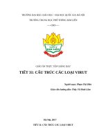 Các yếu tố ảnh hưởng đến sinh trưởng của vi sinh vật bài 29