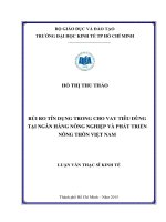 Rủi Ro Tín Dụng Trong Cho Vay Tiêu Dùng Tại Ngân Hàng Nông Nghiệp Và Phát Triển Nông Thôn Việt Nam.pdf