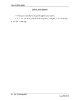 Hoàn Thiện Kế Toán Bán Hàng Và Xác Định Kết Quả Bán Hàng Tại Công Ty Cổ Phần Đầu Tư Thương Mại Và Dịch Vụ Dtt.doc