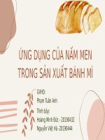 Ứng dụng của nấm men trong sản xuất bánh mì 2