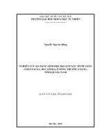 Nghiên Cứu Đa Dạng Sinh Học Bộ Giáp Xác Mười Chân (Crustacea Decapoda) 6730661.Pdf
