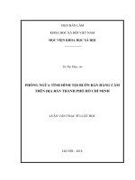(Luận văn thạc sĩ) Phòng ngừa tình hình tội buôn bán hàng cấm trên địa bàn Thành phố Hồ Chí Minh