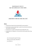 Anhchị hãy nêu quá trình hình thành và phát triển của hình thức đấu thầu lựa chọn nhà đầu tư trên thế giới