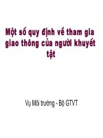 Một Số Quy Định Về Tham Gia Giao Thông Của Người Khuyết Tật.pdf