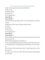 Trắc nghiệm tin học lớp 7 có đáp án – chân trời sáng tạo bài  (5)