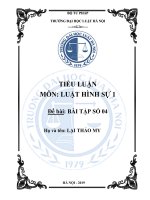 Trường Đại Học Luật Hà Nội. Tiểu Luận Môn Luật Hình Sự. Đề Bài Bài Tập Số 04.Pdf
