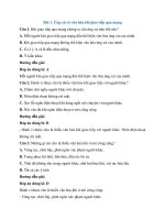 Trắc nghiệm tin học lớp 7 có đáp án – cánh diều bài  (18)