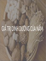 Giá trị dinh dưỡng của nấm