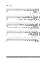 Bản Cam Kết Bảo Vệ Môi Trường Công Ty Tnhh May Thêu Winning.pdf