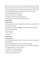 Trắc nghiệm giáo dục công dân lớp 7 có đáp án – chân trời sáng tạo bài  (1)