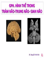 Gph. Hình Thể Trong Trám Não-Trung Não- Gian Não.pdf