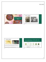 Chương  virus  thanh hoà bản gửi sinh viên