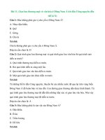 Trắc nghiệm lịch sử lớp 6 có đáp án – cánh diều bài  (7)