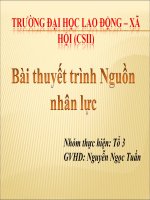 Bài Thuyết Trình Nguồn Nhân Lực.pdf