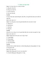 Trắc nghiệm lịch sử lớp 6 có đáp án – cánh diều bài  (3)