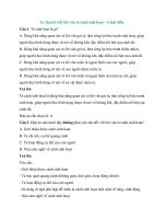 Trắc nghiệm văn lớp 6 có đáp án – cánh diều bài  (1)