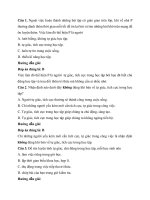 Trắc nghiệm giáo dục công dân lớp 7 có đáp án – chân trời sáng tạo bài  (3)