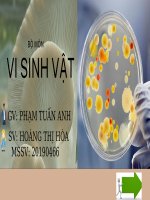 Giá trị dinh dưỡng của nấm trong cntp