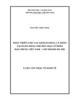 Phát triển cho vay khách hàng cá nhân tại ngân hàng tmcp đại chúng việt nam – chi nhánh hà nội