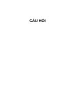 Câu hỏi