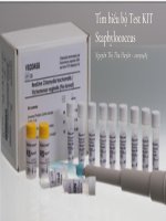 Tìm hiểu bộ test kit staphylococcus