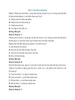 Trắc nghiệm tin học lớp 7 có đáp án – cánh diều bài  (2)