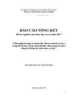 Thử Nghiệm Ƣơng Cá Chạch Lấu (Mastacembelus Favus) Bể Lót Bạt Với Mật Độ Khác Quản Lý Nƣớc Hệ Thống Lọc Tuần Hoàn Học 9264920.Pdf