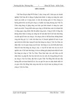 Kế toán nghiệp vụ bán hàng ti vi tại công ty cổ phần xây dựng thương mai việt âu châu   thực trạng và giải pháp