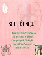 Bài Giảng Sỏi Tiết Niệu.pdf