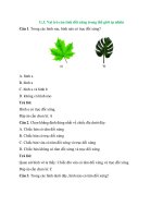 Trắc nghiệm toán lớp 6 có đáp án – chân trời sáng tạo bài  (2)