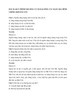 Trắc nghiệm địa lí lớp 6 có đáp án – chân trời sáng tạo bài  (11)