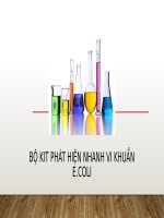 Bộ kit phát hiện nhanh vi khuẩn e coli
